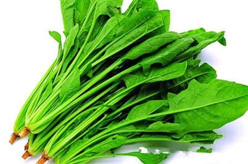 常吃菠菜有什么好處，你都知道嗎？