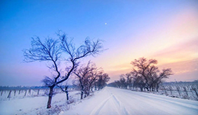 下雪天，這些疾病要預防