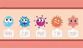 當心戊肝病毒！剩菜反復冷藏加熱風險大