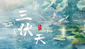 三伏天如何調(diào)節(jié)飲食作息、科學(xué)養(yǎng)生？