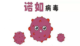 科學應對諾如病毒感染，一組數字帶你了解！