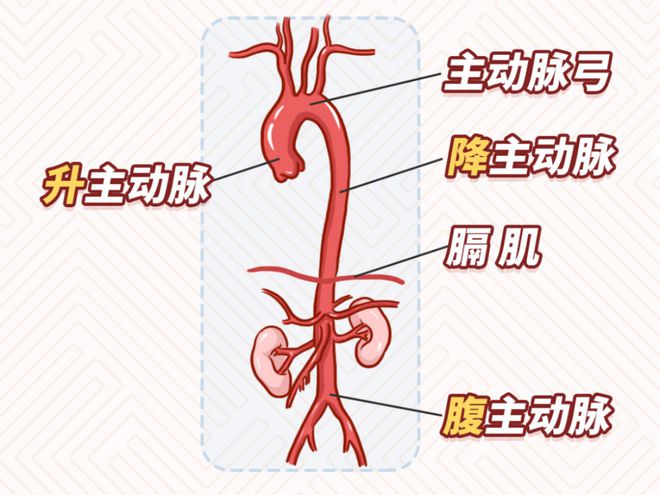 下載 (1)