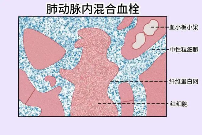 圖片1