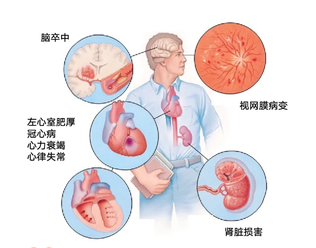 微信圖片_20241017085321